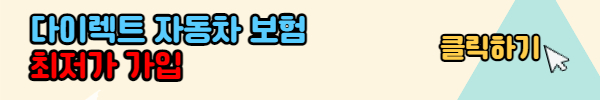 다이렉트 자동차보험 비교견적
