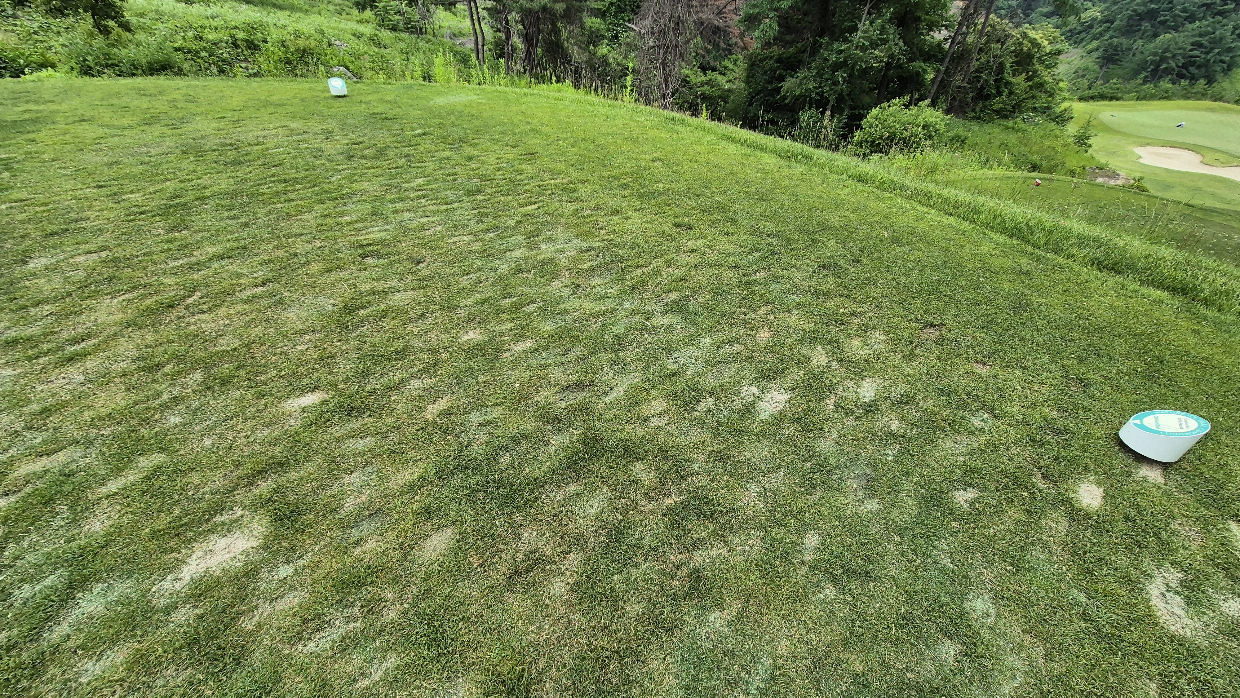 샴발라cc 라운드 후기