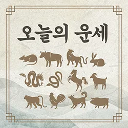 부산일보 오늘의 운세 띠별 운세와 무료 운세 이용법_5