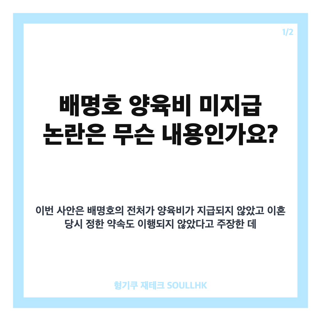 배명호 양육비 미지급 논란, 전처 주장과 법적 절차 쟁점 정리 카드뉴스 1