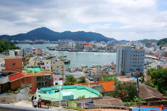 통영 맛집 추천 현지인 강추 해산물 전문점 소개_16