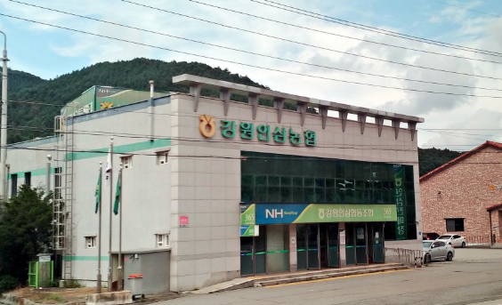 강원인삼농협