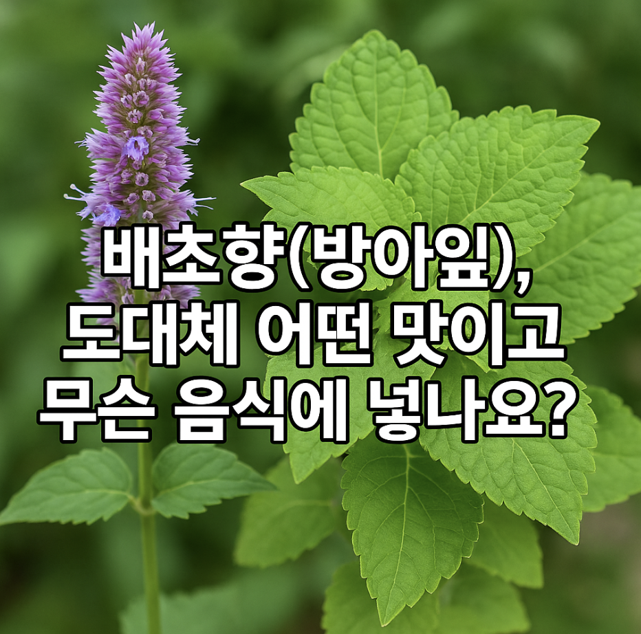배초향(방아잎), 도대체 어떤 맛이고 무슨 음식에 넣나요?