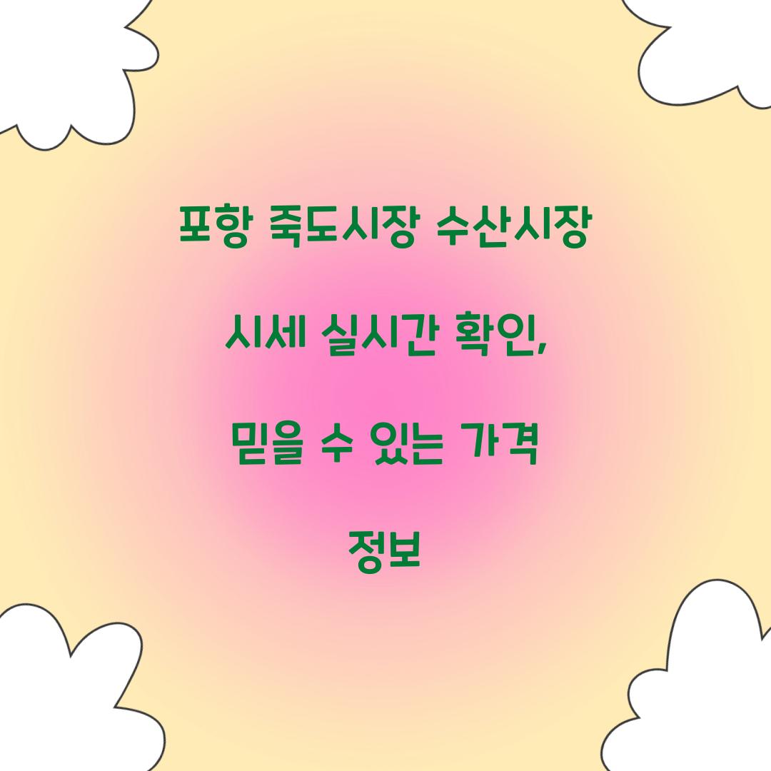 포항 죽도시장 수산시장 시세 실시간 확인