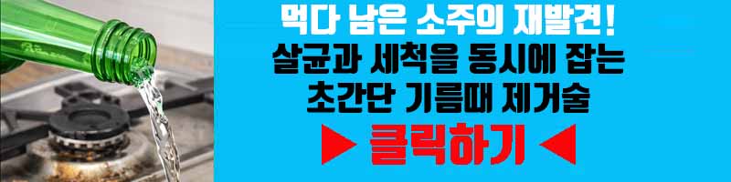먹다 남은 소주의 재발견! 살균과 세척을 동시에 잡는 초간단 기름때 제거술