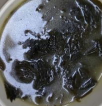 Alt 속성 문제 해결 설명 이미지