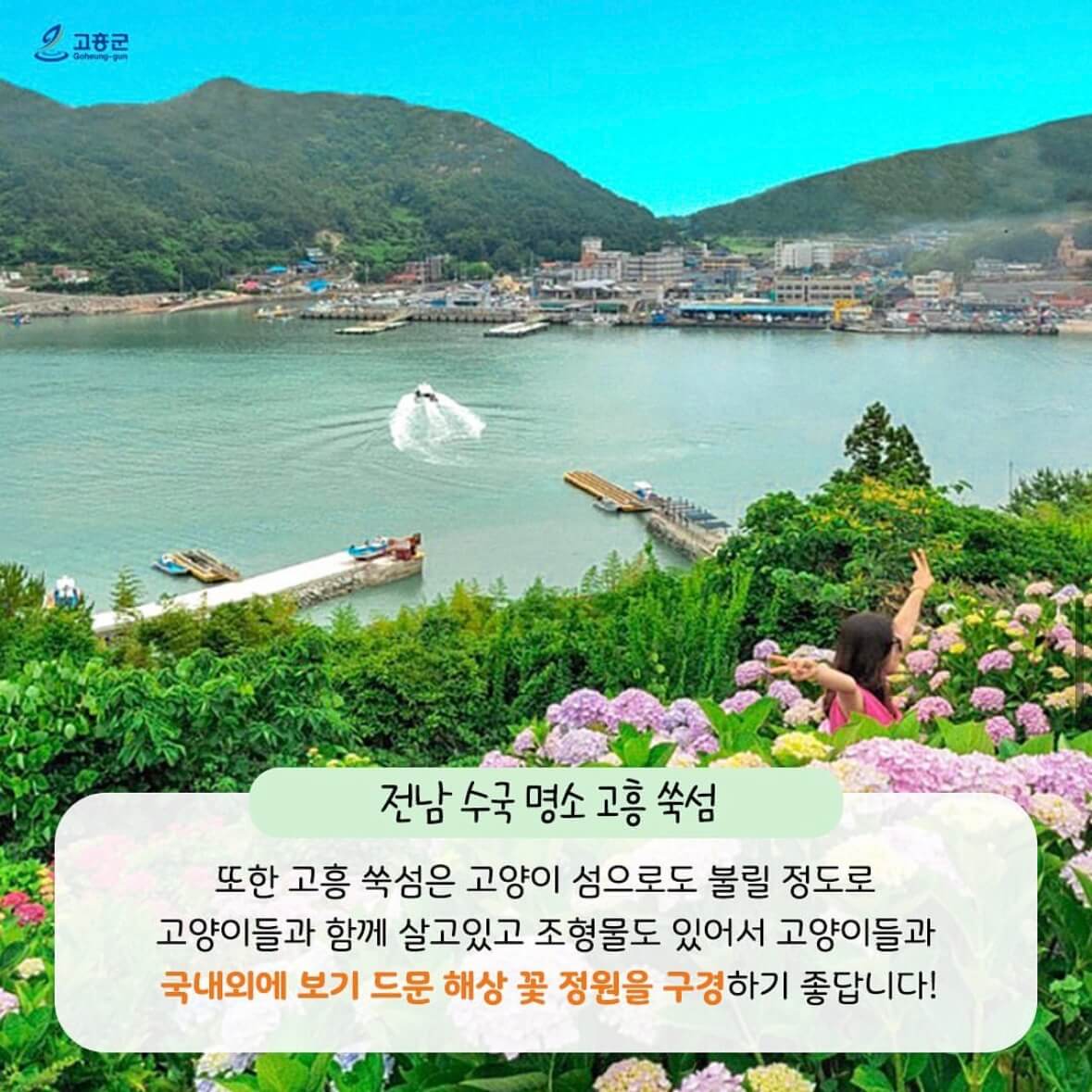 쑥섬 수국축제