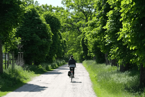 유럽 자전거 여행 – 알프스부터 베니스까지 414km 코스 완주기