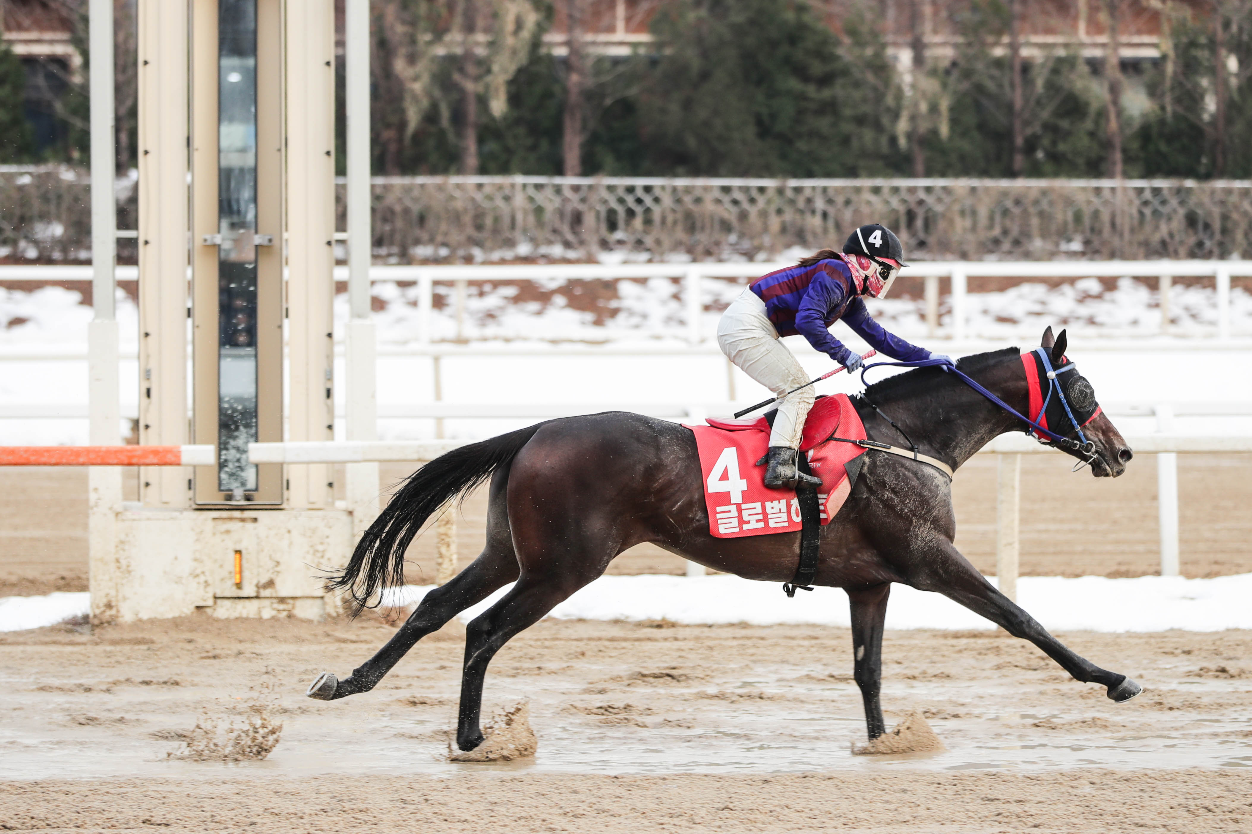 글로벌히트 김혜선기수