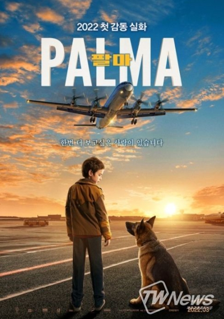팔마 영화