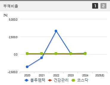 블루엠텍 주가 부채비율 (0508)