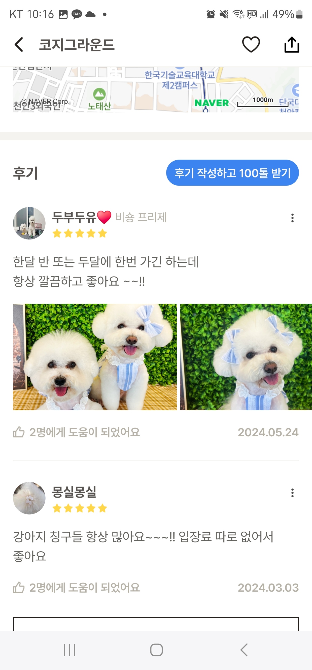 내-주변-애견동반-카페-찾기