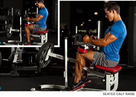 시티드 카프레이즈