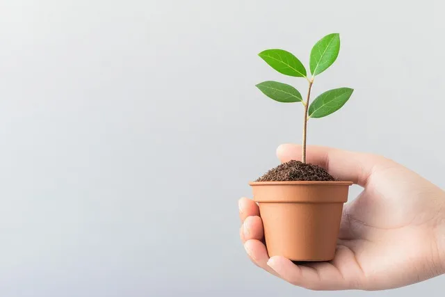 디지털 없이 아침을 시작하는 법