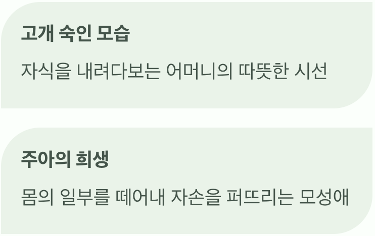 어머니의 사랑을 닮은 꽃