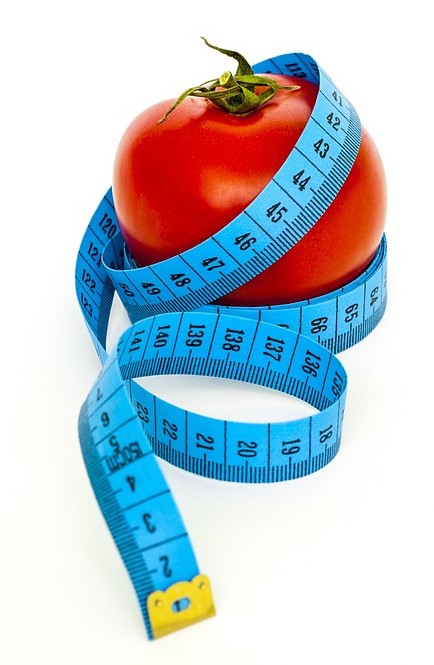 초저열량식사-다이어트