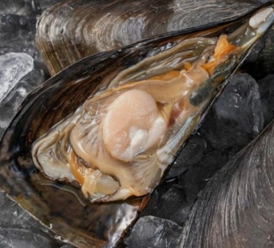 요즘 제철 음식