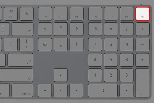 애플 매직키보드에 있는 F 키들