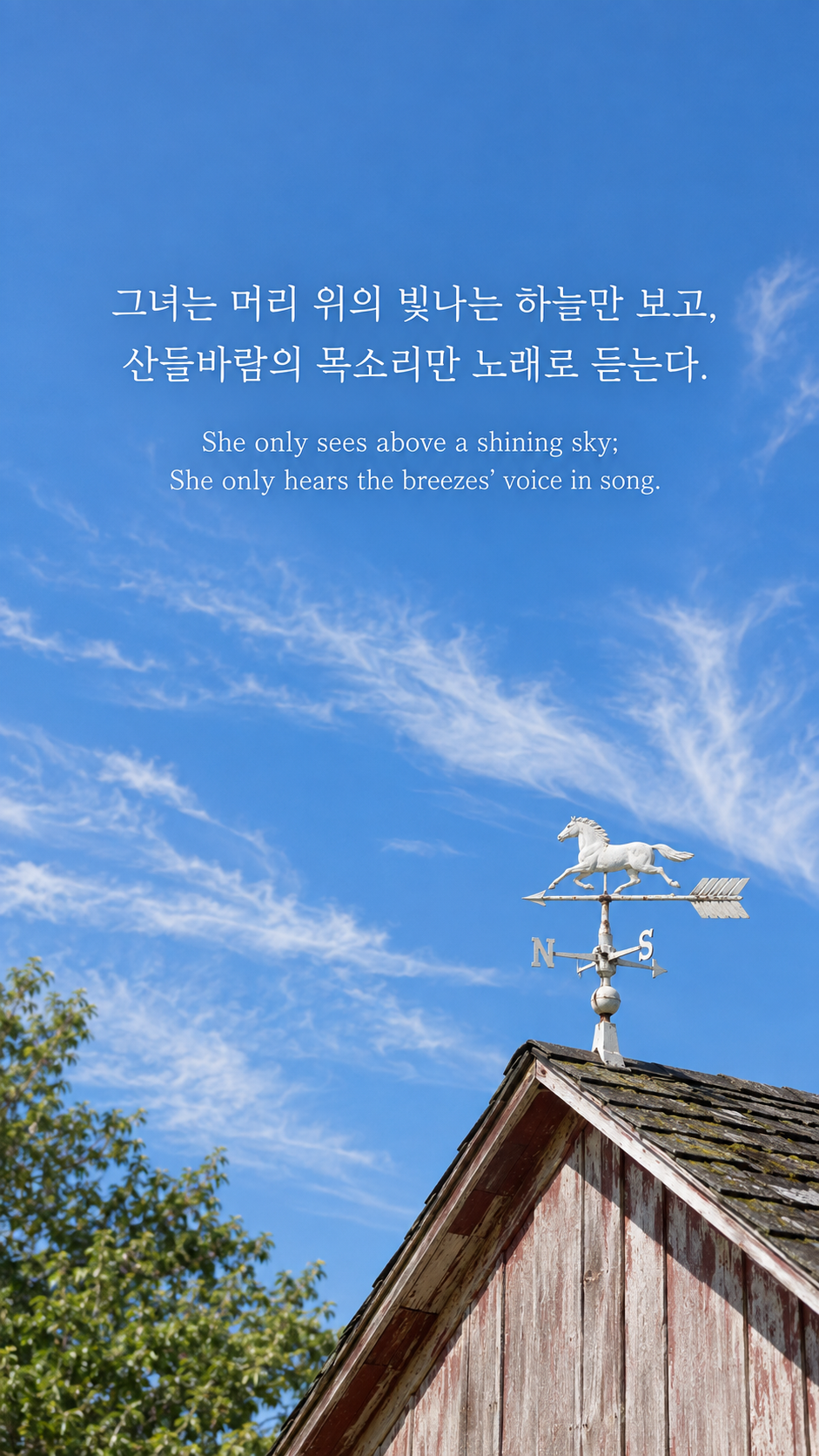 폴 로런스 던바의 바람을 듣는 마음에 관한 가을 글귀 &mdash; 한글과 영어 원문을 담은 디지털 카메라 사진