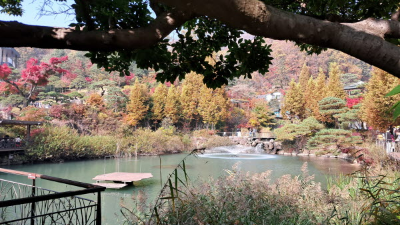 단풍명소_화담숲_연못