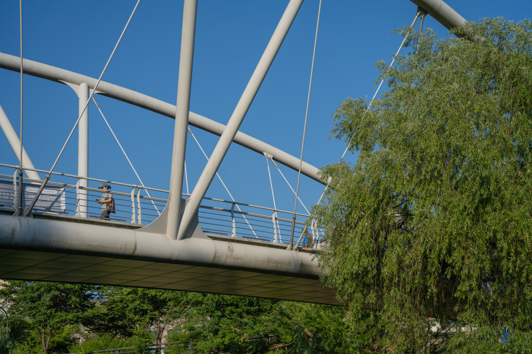신동 수변공원 수원천