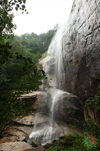 충주 가볼만한곳 베스트 10