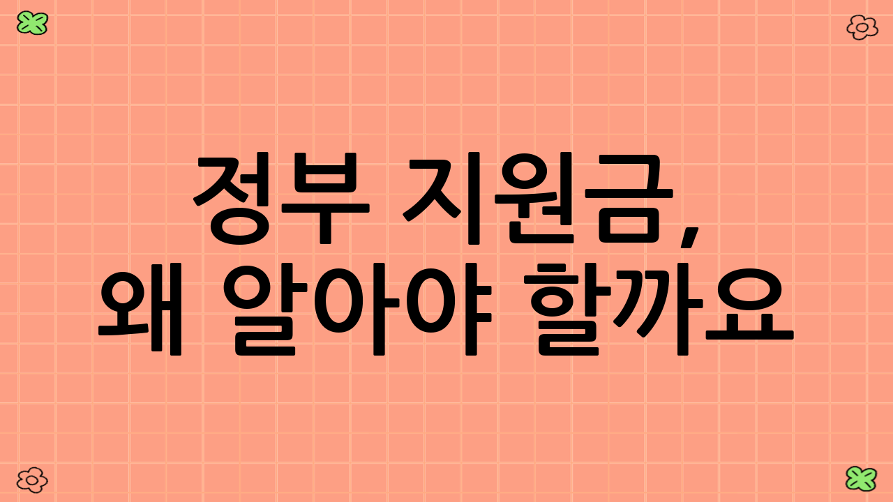 정부 지원금, 왜