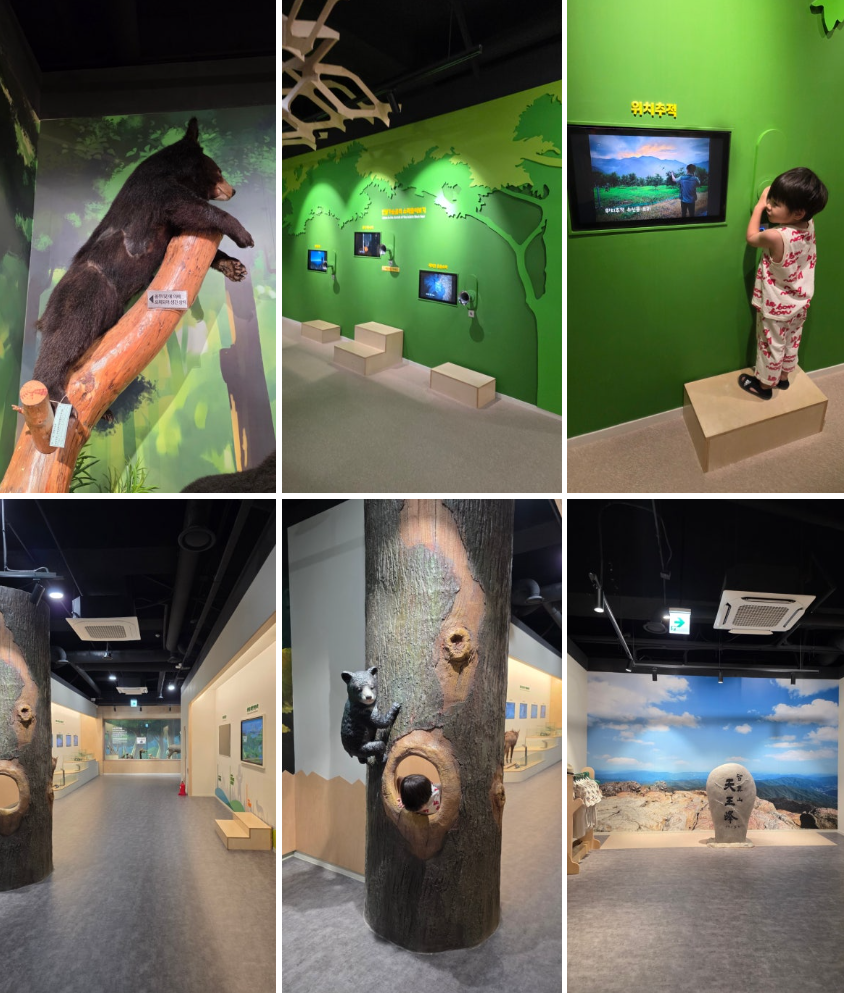 국립공원야생생물보전원 남부보전센터 반달가슴곰 탐방 후기 (우리의 친구 반달가슴곰을 만나요)