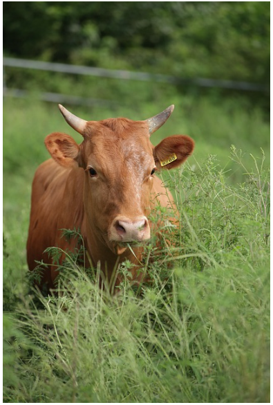 추석선물세트 순위 TOP 3