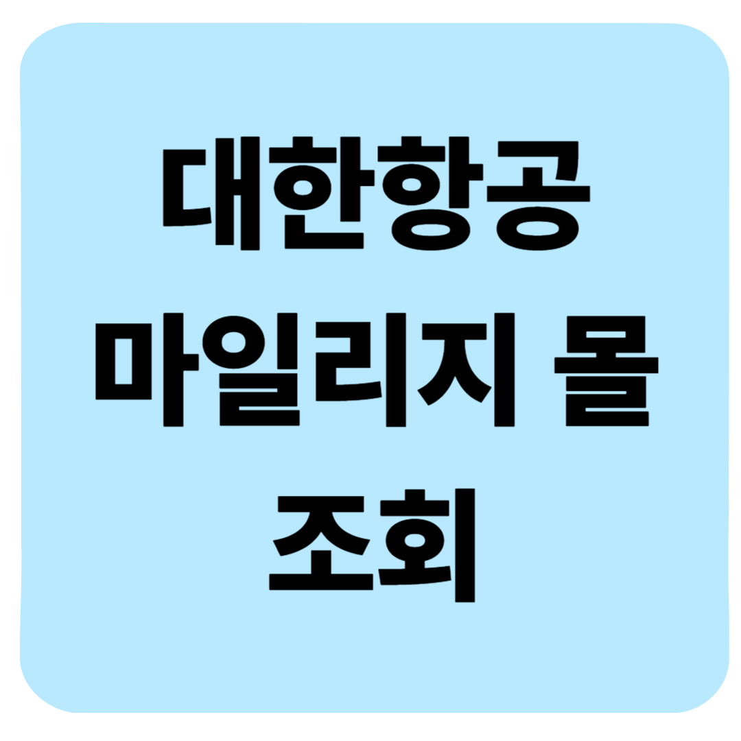대한항공 마일리지 몰 조회부터 적립,전환 사용 꿀팁까지 — 실사용 후기