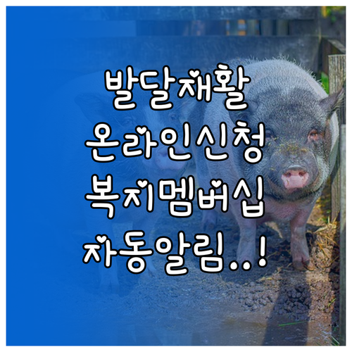 발달재활서비스 온라인 신청 방법과 복..