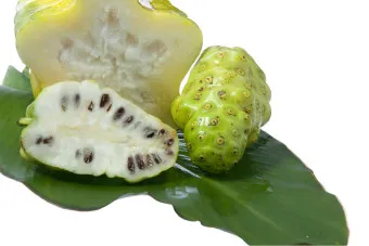 노니 효능 칼로리 섭취량_12