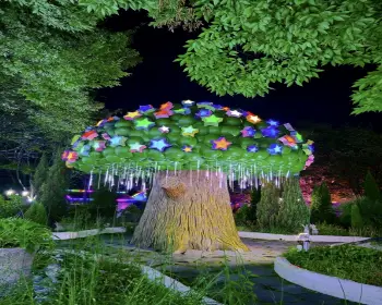 청도 프로방스 빛축제_6