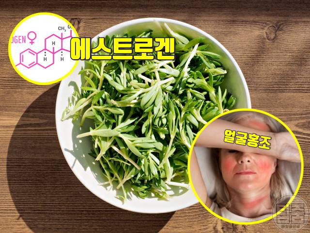 돌나물 효능,돌나물 무침 맛있게 만드는 법