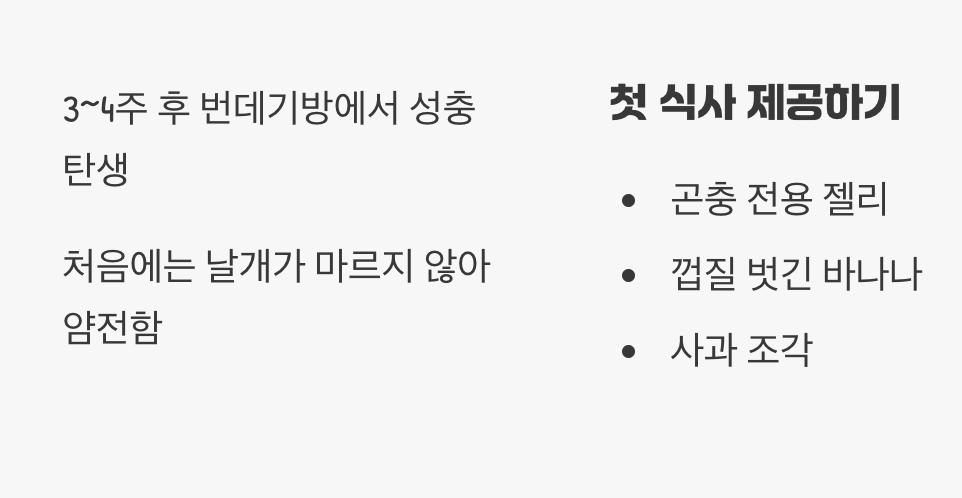 보석의 탄생, 첫 만남의 순간