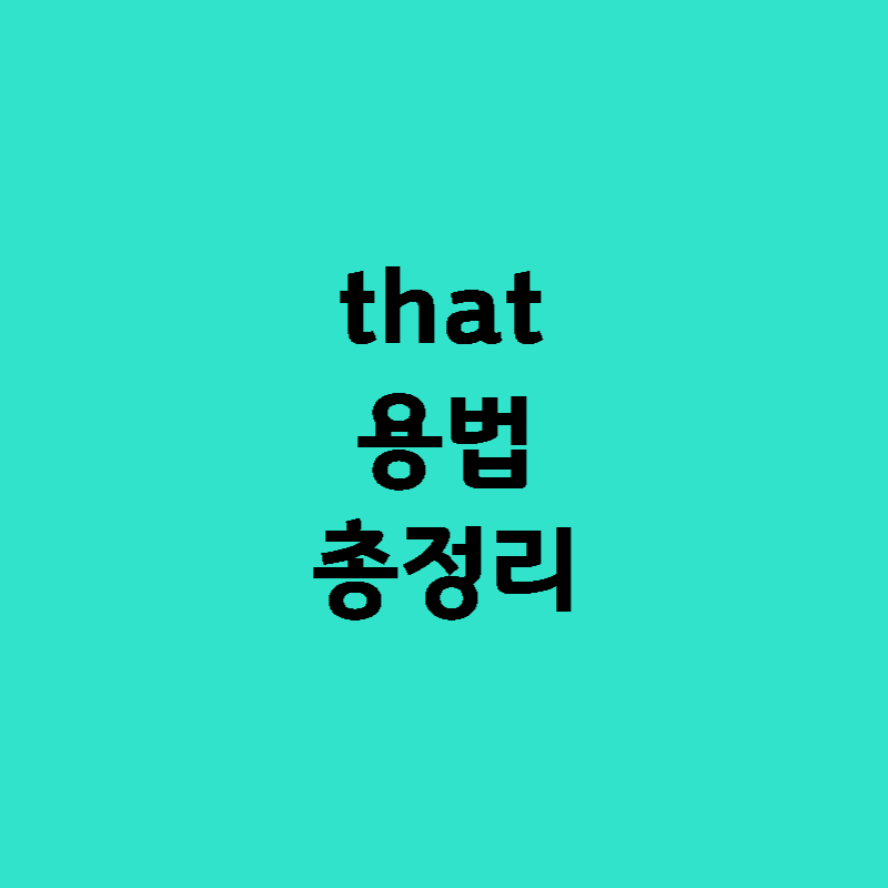 that용법 총정리