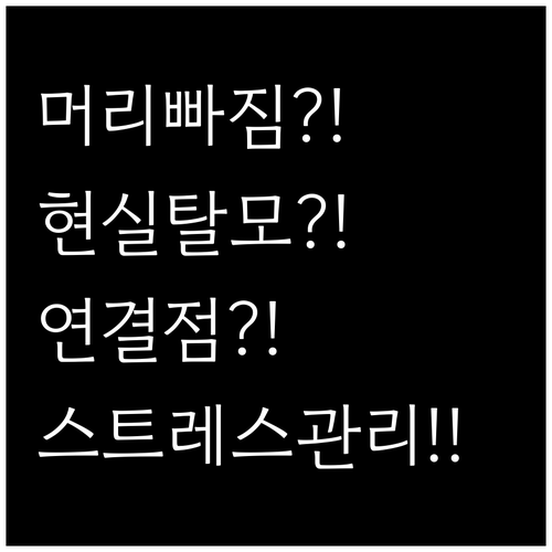 머리 빠지는 꿈 현실 탈모 연결점과 ..