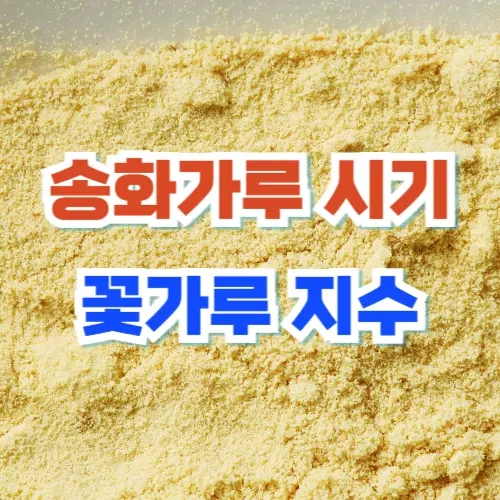 송화가루 꽃가루 지수 이미지