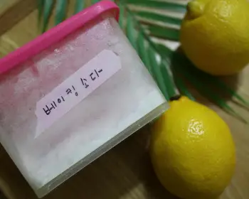 날파리 없애는 방법12
