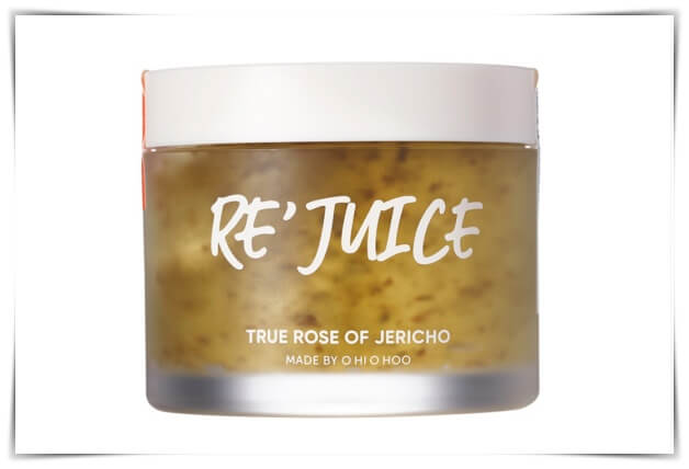 오하이오후 부활초