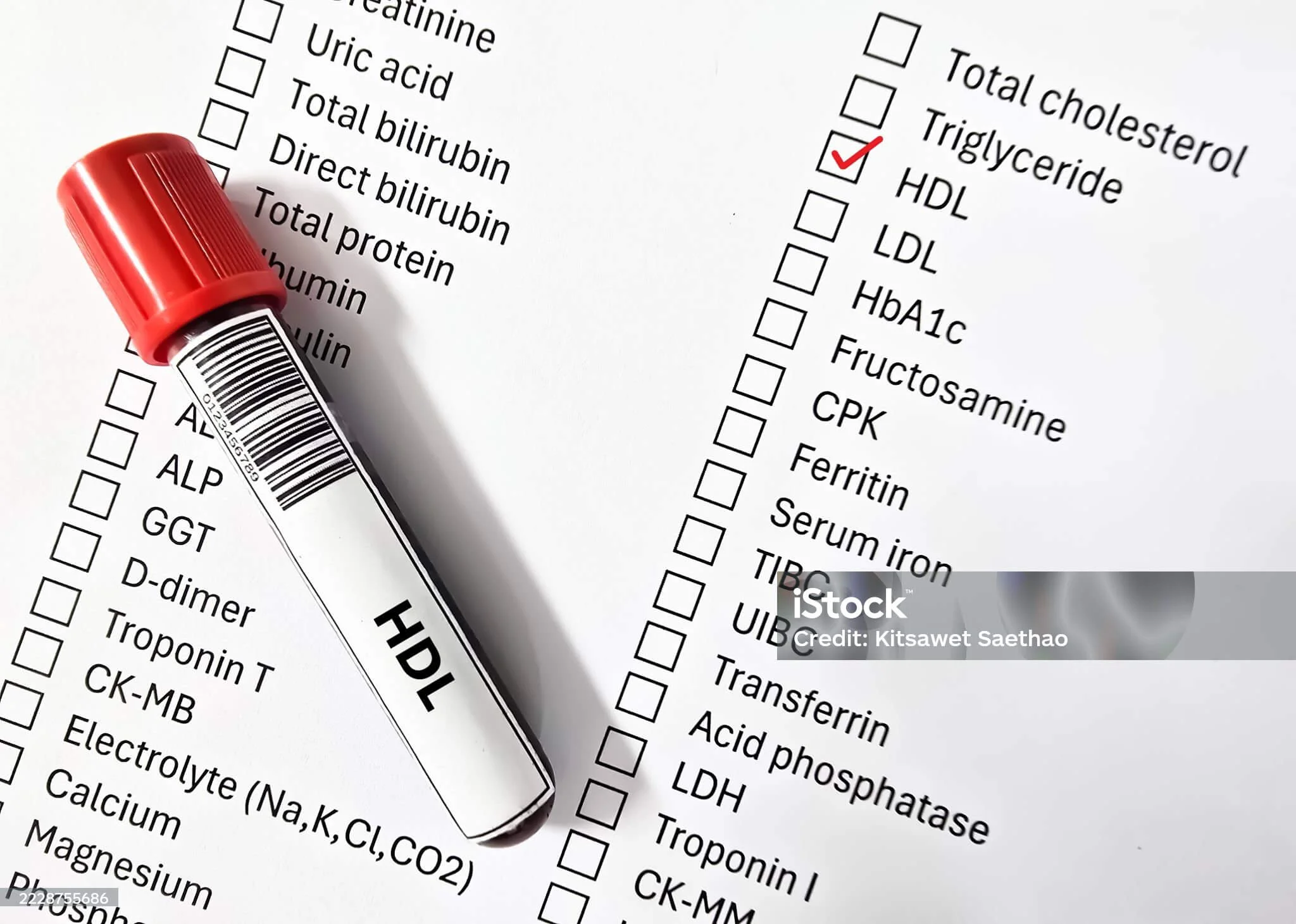 고지혈증 자가진단