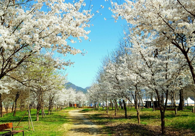 가평 반려동물 문화행사 활짝펫