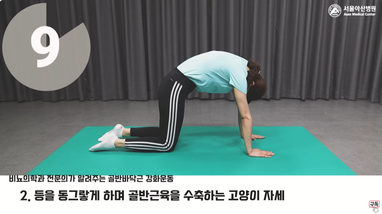 고양이 자세