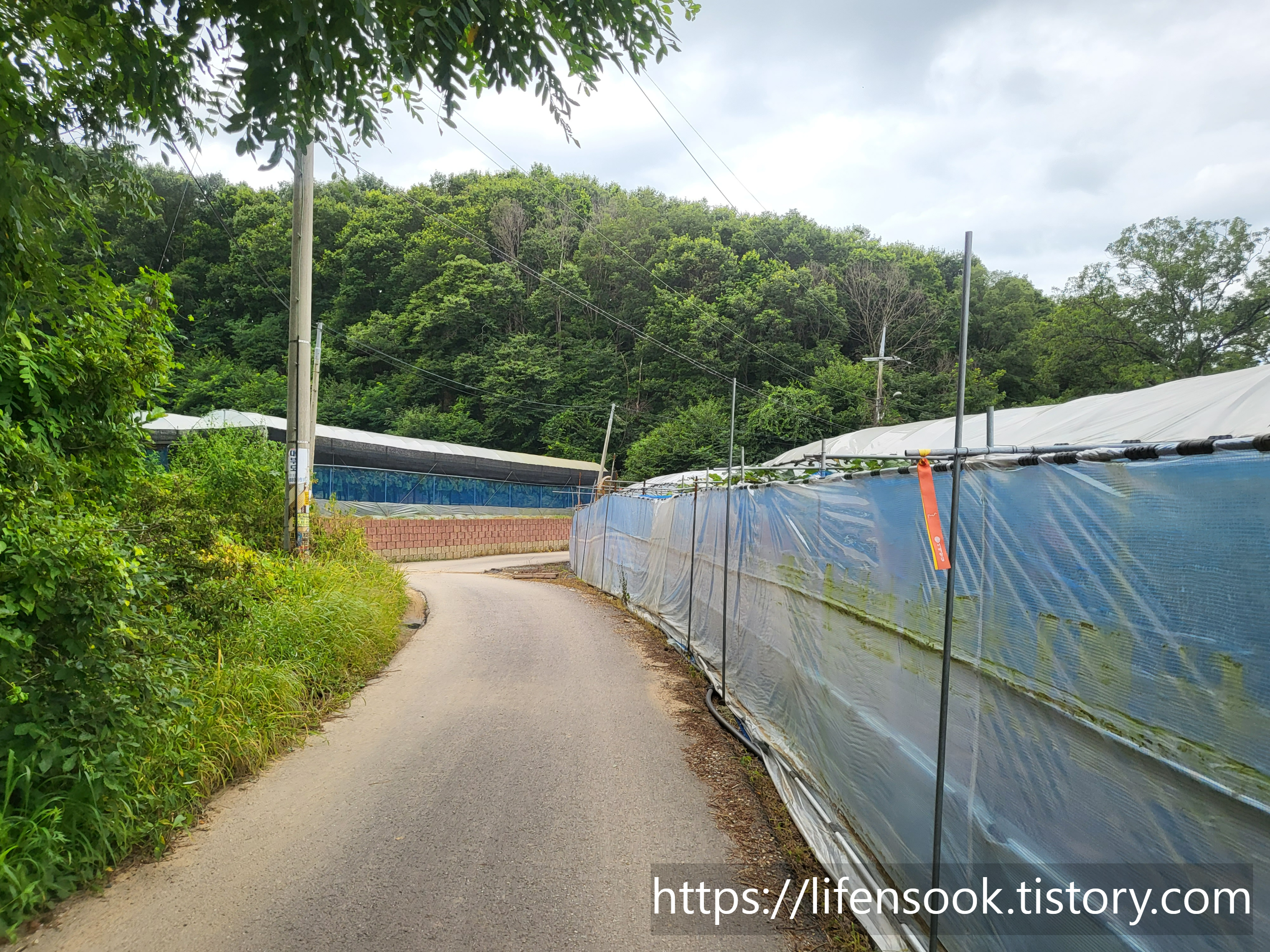 대부해솔길 3코스 주황리본 4