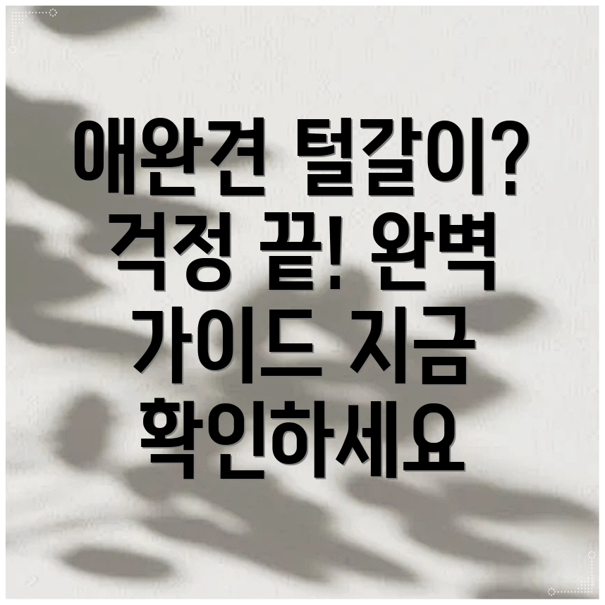 애완견 털갈이