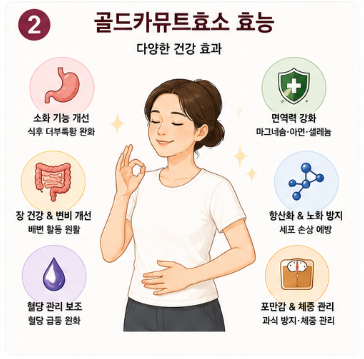 골드카뮤트효소-가루-분말-효과-후기-부작용