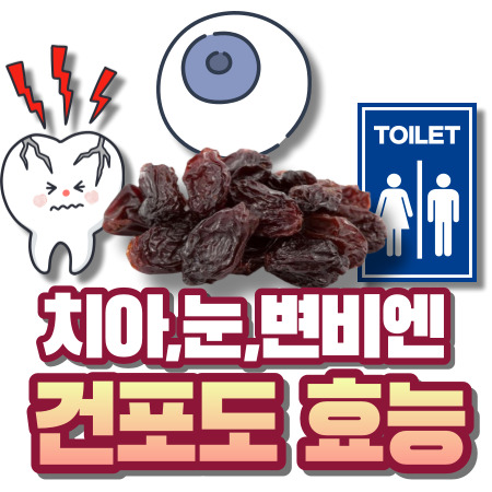 건포도 효능