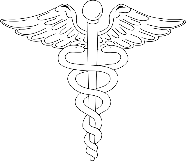 강북구, 성북구 문여는 병원