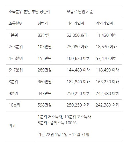 본인 부담 상한액
