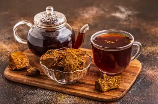 차가버섯 효능 및 부작용 섭취시 주의점